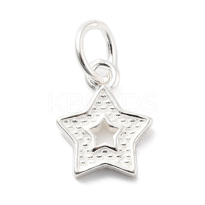 925 Sterling Silver Charms STER-S009-07C-S-1