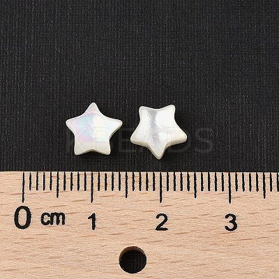 Natural White Shell Beads SHEL-R100-06A-1