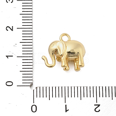Brass Pendants KK-I380-09G-1