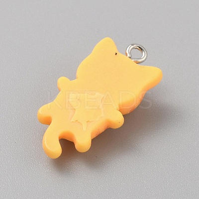 Opaque Resin Cat Pendants X1-CRES-TAC0010-07C-1
