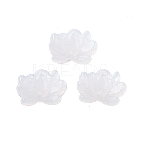 Acrylic Beads OACR-U001-05A-1