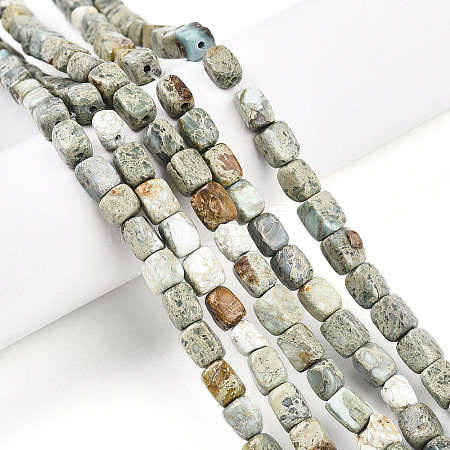 Natural Variscite Beads Strands G-N346-04A-11-1