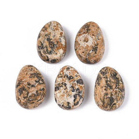 Natural Leopard Skin Jasper Pendants G-N349-08K-1
