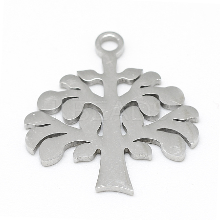 Non-Tarnish 201 Stainless Steel Pendants STAS-T008-049-1-1