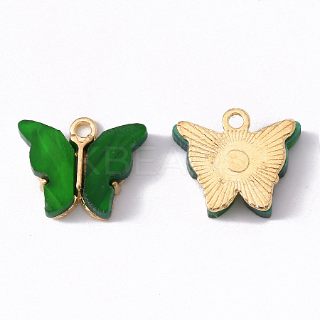 Alloy Acrylic Pendants LS-X-ENAM-R136-01I-1