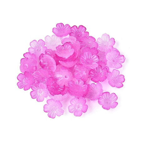 Transparent Plastic Bead Caps KY-Q005-02A-09-1