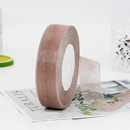Polyester Organza Ribbon FABR-PW0001-003A-19-1