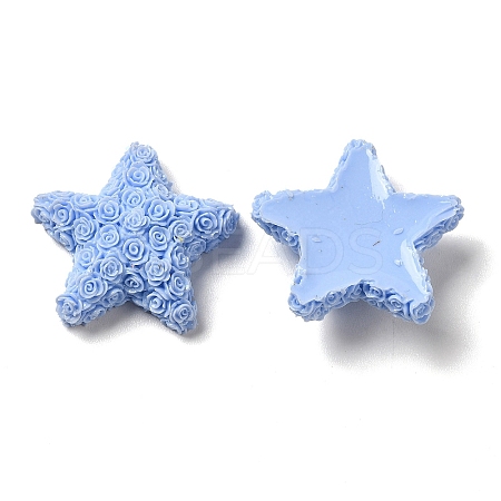 Opaque Resin Cabochons RESI-C024-04A-1