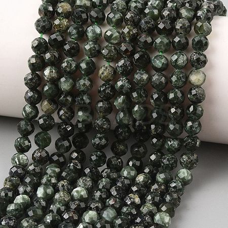 Natural Seraphinite Beads Strands G-K376-A02-5mm-1