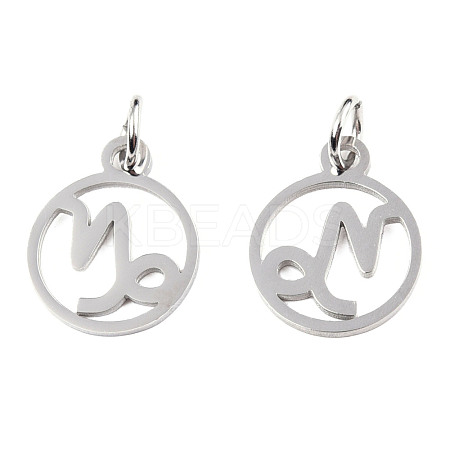 Non-Tarnish 304 Stainless Steel Charms STAS-T036-T513-A10-1
