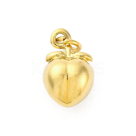 304 Stainless Steel Charms LS-STAS-U049-01A-04G-1