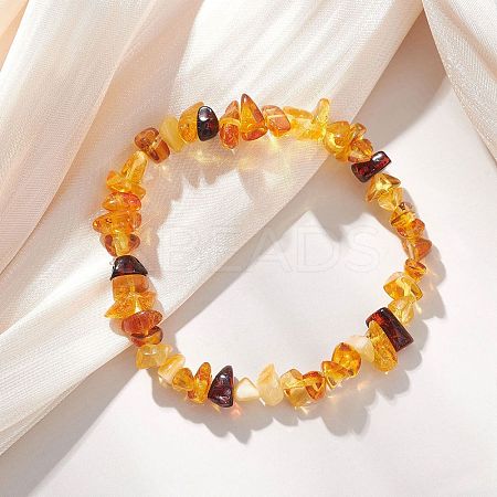 Natural Amber Beads Stretch Bracelets for Women BJEW-JB13256-01-1