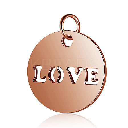 304 Stainless Steel Charms LS-STAS-S105-T520R-1
