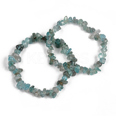 Unisex Chip Natural Apatite Beaded Stretch Bracelets BJEW-S143-54-1