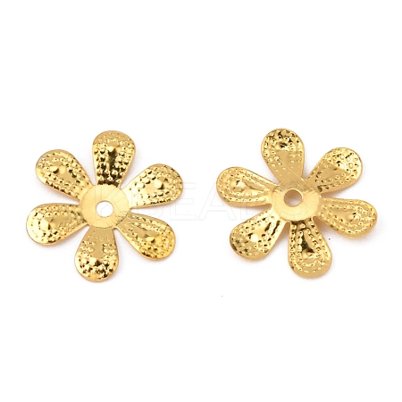 6-Petal Iron Bead Caps IFIN-WH0070-06G-1