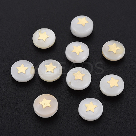 Natural Freshwater Shell Beads SHEL-N003-22-05-1