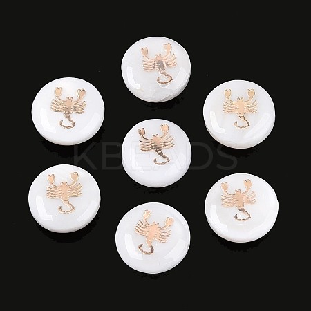 Natural Freshwater Shell Beads SHEL-N037-02F-G-1