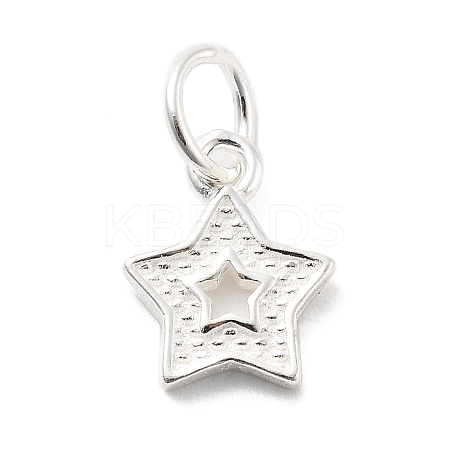 925 Sterling Silver Charms STER-S009-07C-S-1
