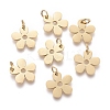 Ion Plating(IP) 316 Surgical Stainless Steel Charms X-STAS-H100-18G-2