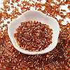 Baking Paint Glass Round Bugle Beads SEED-Z002-A-E09-2