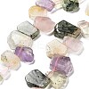 Natural Amethyst & Quartz Crystal & Rose Quartz & Prehnite & Citrine Beads Strands G-P528-K02-01-1