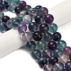 Natural Fluorite Beads Strands G-L634-B04-12mm-2