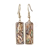 Natural Paua Shell Dangle Earrings EJEW-JE06274-05-2