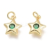 Brass Micro Pave Cubic Zirconia Charms KK-M206-30G-01-1