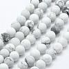 Natural Howlite Beads Strands G-F518-22-8mm-1