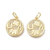 Brass Micro Pave Clear Cubic Zirconia Charms ZIRC-L076-050G-1