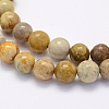 Natural Fossil Coral Beads Strands G-G697-F01-4mm-3