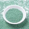 MIYUKI Delica Beads SEED-X0054-DB2125-2