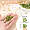 Picasso Baking Paint Glass Seed Beads SEED-TA0001-62E-3