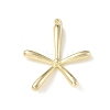 Alloy Pendants LS-PALLOY-E029-01LG-1