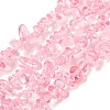 Transparent Glass Beads Strands GLAA-P060-01C-17-1