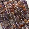 Natural Purple Phantom Quartz Lodolite Quartz Beads Strands G-R446-10mm-01A-5