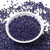 MIYUKI Round Rocailles Beads X-SEED-G008-RR0434-2