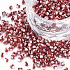 8/0 Glass Seed Beads SEED-S006-32-1