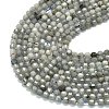Natural Labradorite Beads Strands G-A260-A44-01B-3