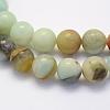 Natural Flower Amazonite Beads Strands G-G697-F06-10mm-3