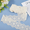 5 Yards Flat Cotton Lace Ribbon OCOR-GF0004-71A-01-3