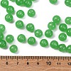 Imitation Jade Glass Seed Beads SEED-Z004-J8MM-08-4