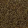 MIYUKI Round Rocailles Beads X-SEED-G009-RR0311-2