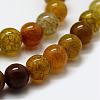 Natural Dragon Veins Agate Beads Strands G-F417-03-6mm-3