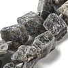 Raw Rough Natural Labradorite Beads Strands G-J388-A07-01-1