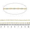 Rack Plating Brass Dapped Chains AJEW-Q153-02G-16-2