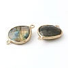 Labradorite Links Connectors LS-G-B009-17G-2