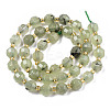 Natural Prehnite Beads Strands G-T131-78A-2