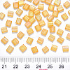 FGB 2-Hole Baking Paint Transparent Glass Seed Beads LS-X-SEED-S031-L-251-3