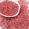 Transparent Inside Colours Glass Seed Beads SEED-A032-04J-1